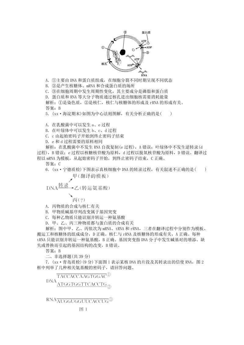 2019-2020年高考生物二轮专题复习 专题六 遗传的物质基础课时作业.doc_第2页