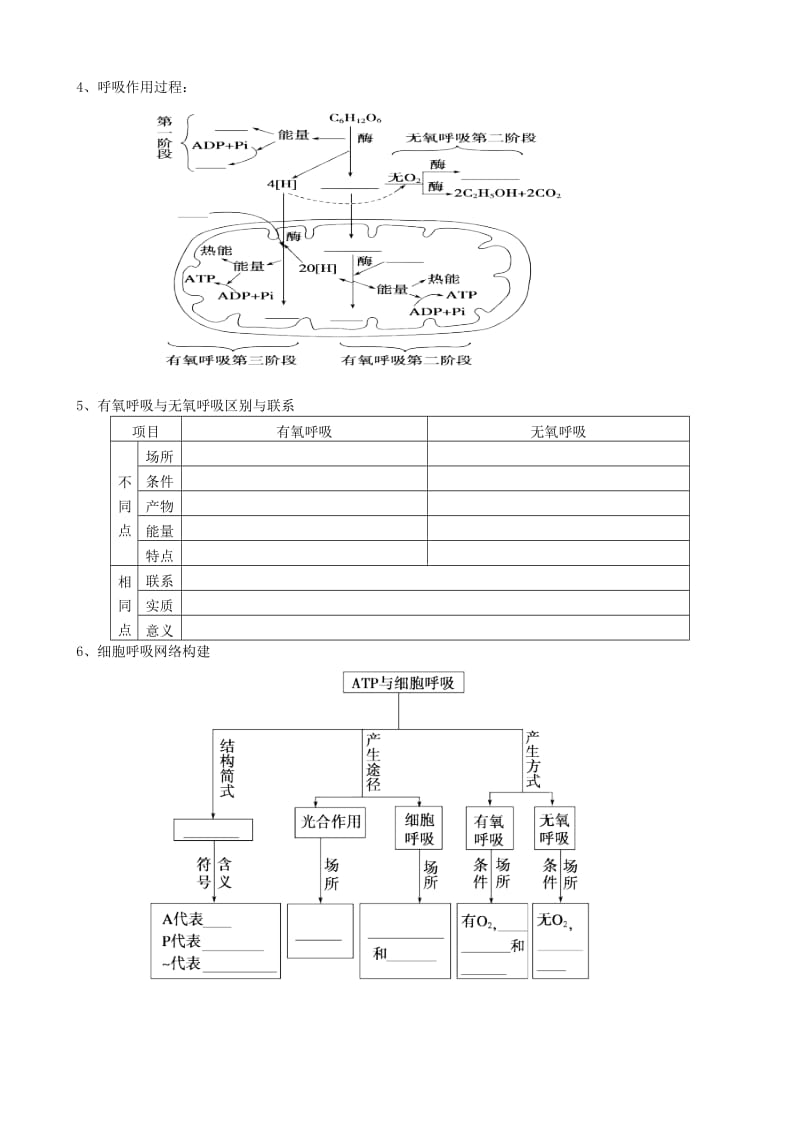 2019-2020年高考生物二轮专题复习 光合作用与呼吸作用专题.doc_第2页