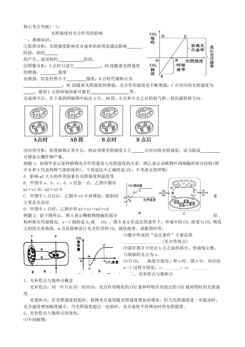 2019-2020年高考生物二轮专题复习 光合作用与呼吸作用专题.doc_第3页