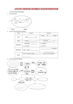 2019-2020年高考生物二輪專題復習 光合作用與呼吸作用專題.doc