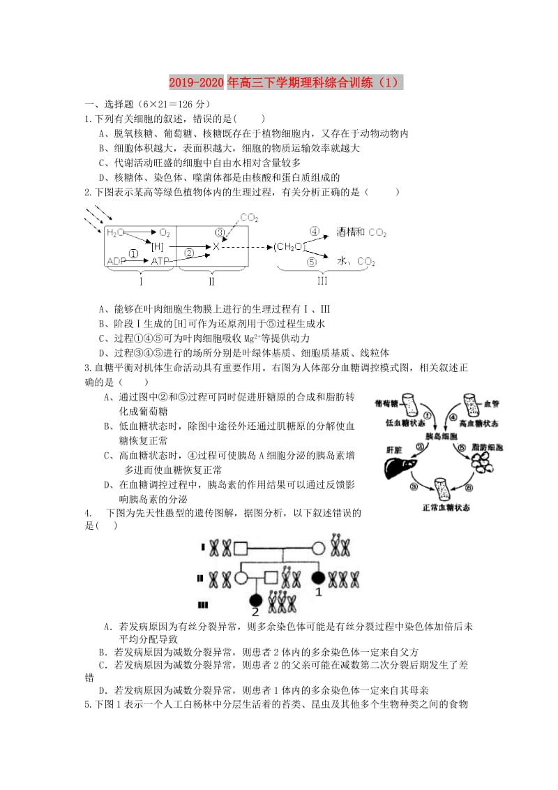 2019-2020年高三下学期理科综合训练（1）.doc_第1页