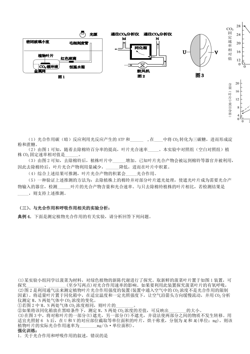 2019-2020年高考生物三轮复习 细胞代谢（二）呼吸作用和光合作用.doc_第2页