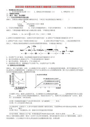 2019-2020年高考生物三輪復(fù)習(xí) 細(xì)胞代謝（二）呼吸作用和光合作用.doc