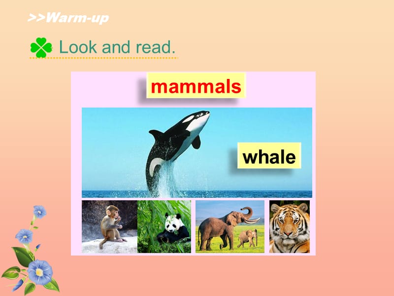 2019六年级英语上册 Unit 3 Animal World（Lesson 2）课件 人教新起点.ppt_第3页