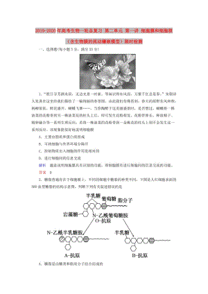 2019-2020年高考生物一輪總復習 第二單元 第一講 細胞膜和細胞核（含生物膜的流動鑲嵌模型）限時檢測.doc