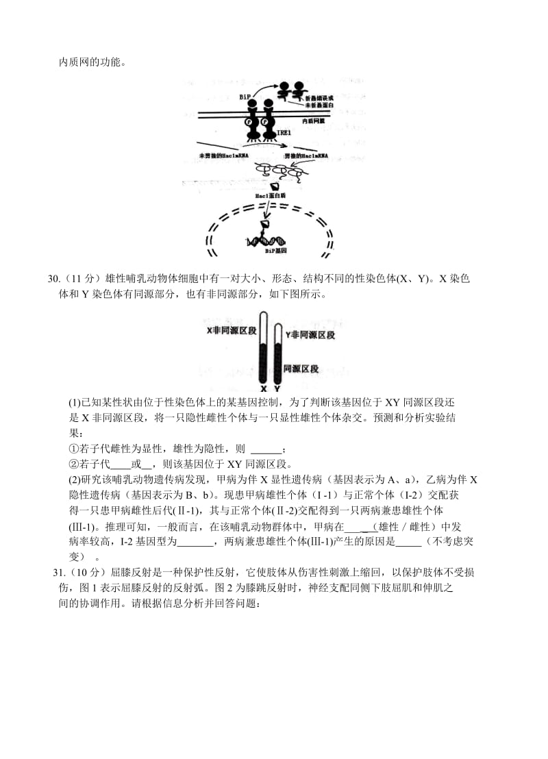 2019-2020年高三第二次教学质量检测 理综生物.doc_第3页