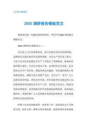 20XX调研报告模板范文.doc