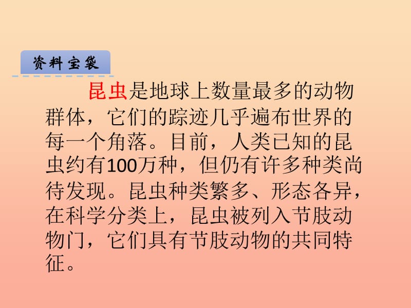 2019年秋季版二年级语文上册第5单元汉字家园二_⑤昆虫世界课件长春版.ppt_第3页