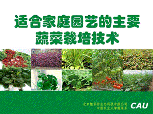 適合家庭園藝主要蔬菜種植技術(shù)講座.ppt