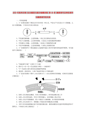 2019年高考生物 拉分題型與提分秘籍訓(xùn)練 第28講 激素調(diào)節(jié)及神經(jīng)調(diào)節(jié)與激素調(diào)節(jié)的關(guān)系.doc