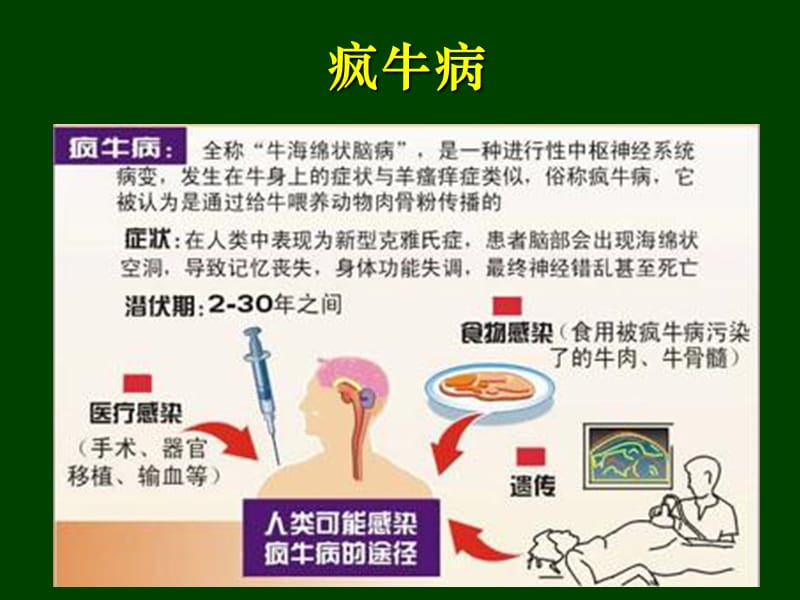 生物安全与生物入侵.ppt_第2页