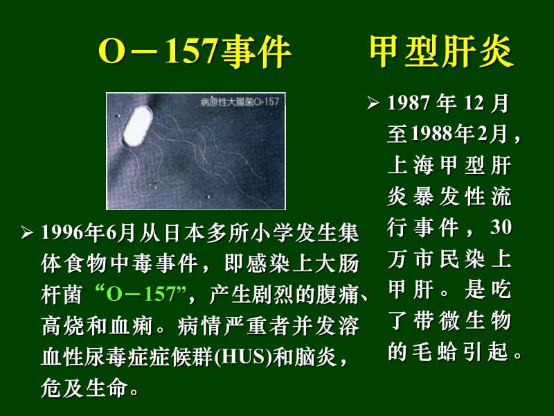 生物安全与生物入侵.ppt_第3页