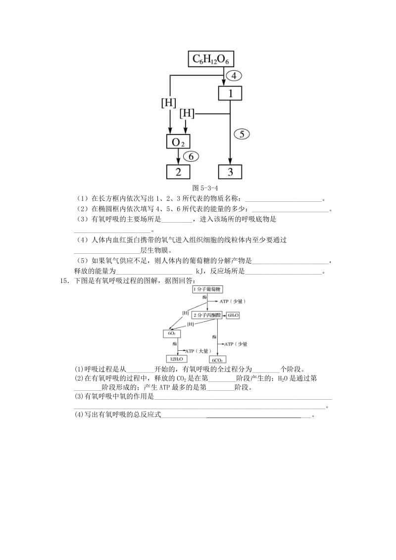 2019-2020年高中生物 4.3细胞呼吸每课一练35 苏教版必修1.doc_第3页