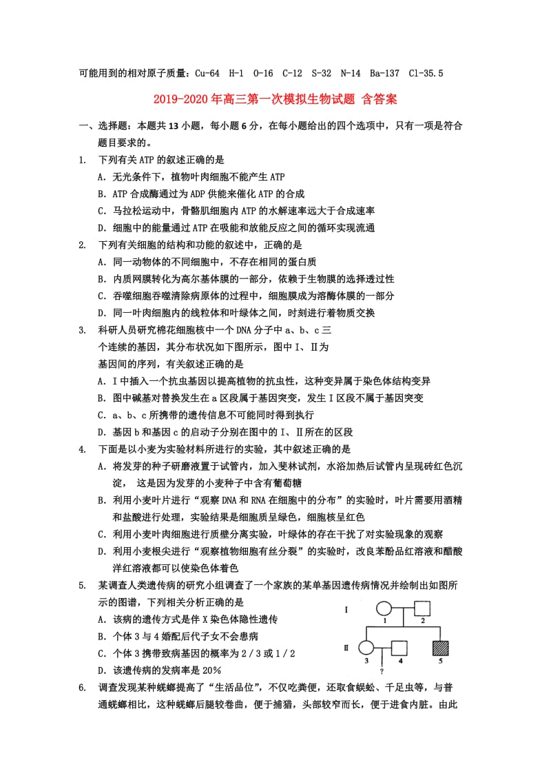 2019-2020年高三第一次模拟生物试题 含答案.doc_第1页