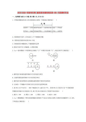 2019-2020年高考生物 基因是有遺傳效應(yīng)的DNA片段課時(shí)作業(yè).doc