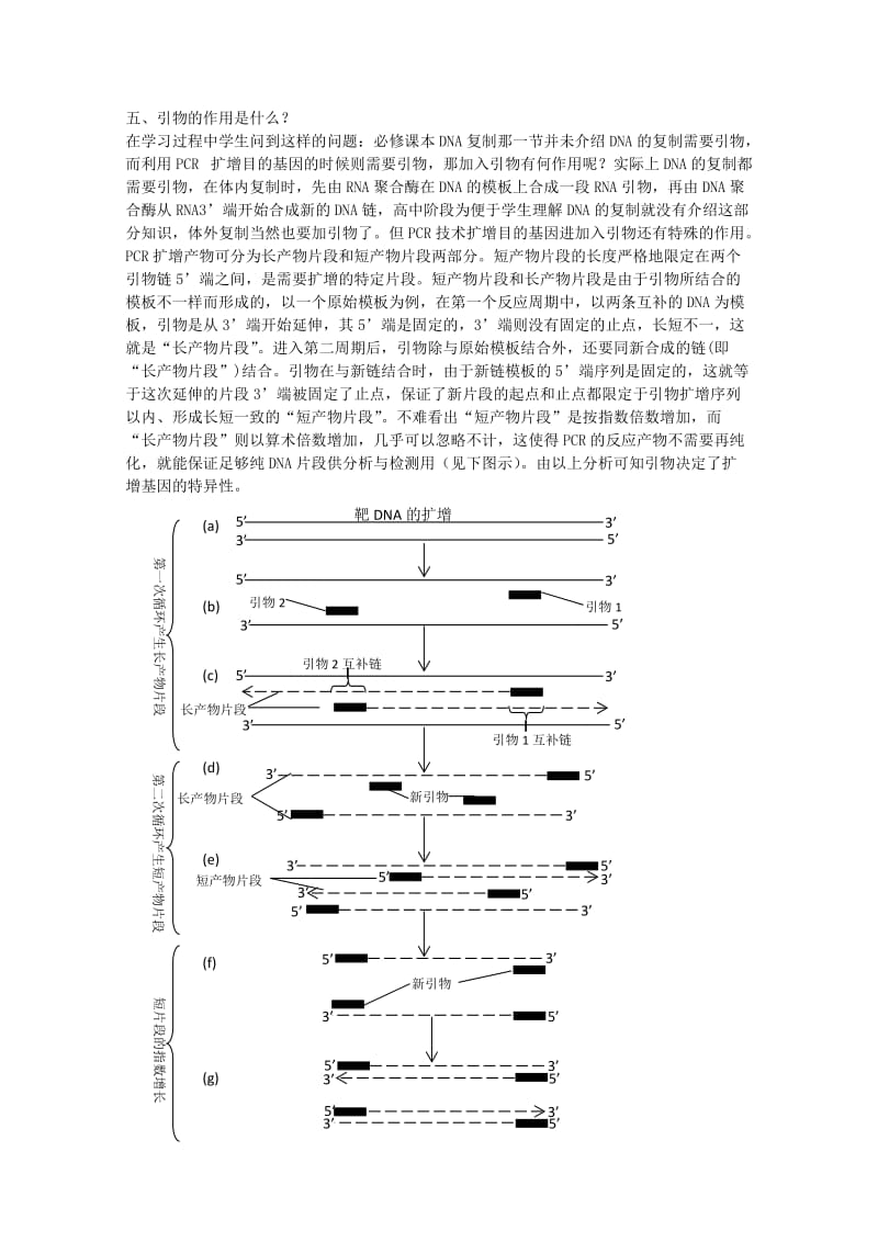 2019-2020年高中生物第六章蛋白质和DNA技术6.2DNA片段的扩增--PCR技术1素材中图版.doc_第2页