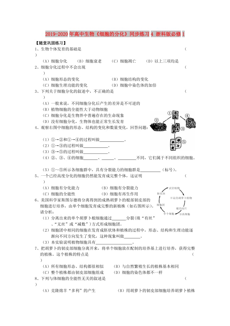 2019-2020年高中生物《细胞的分化》同步练习4 浙科版必修1.doc_第1页