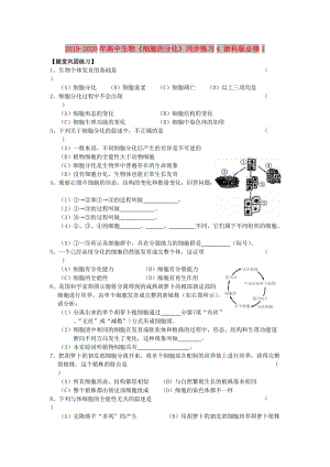 2019-2020年高中生物《細(xì)胞的分化》同步練習(xí)4 浙科版必修1.doc