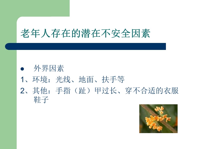 老年住院患者安全问题与防范.ppt_第3页