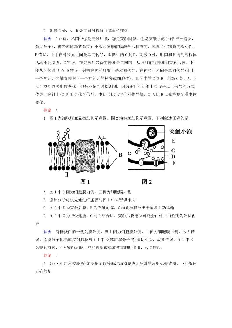 2019-2020年高考生物一轮总复习 第八单元 第二讲 通过神经系统的调节限时检测.doc_第3页