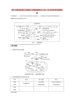 2019年高考生物大二輪復(fù)習(xí) 專(zhuān)題突破練習(xí)二 第2講 光合作用與細(xì)胞呼吸.doc