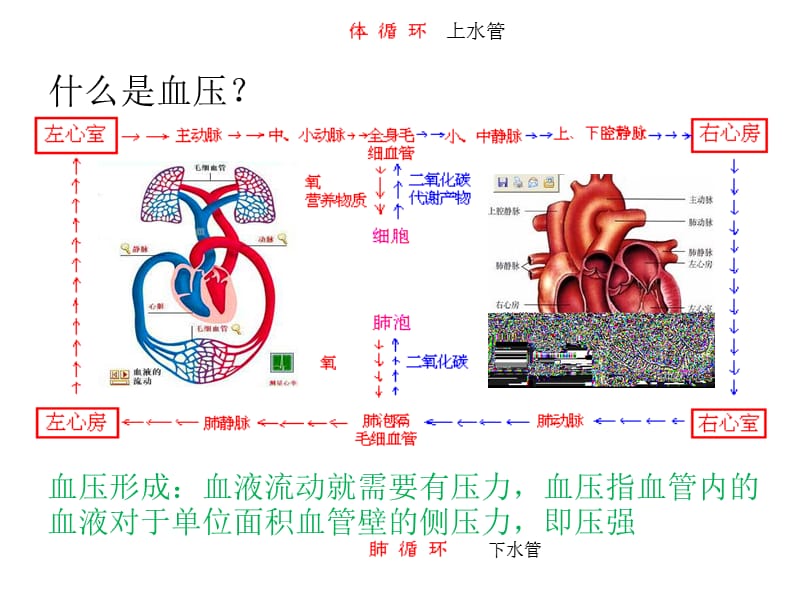 高血压糖尿病夏季养生ppt课件.ppt_第3页