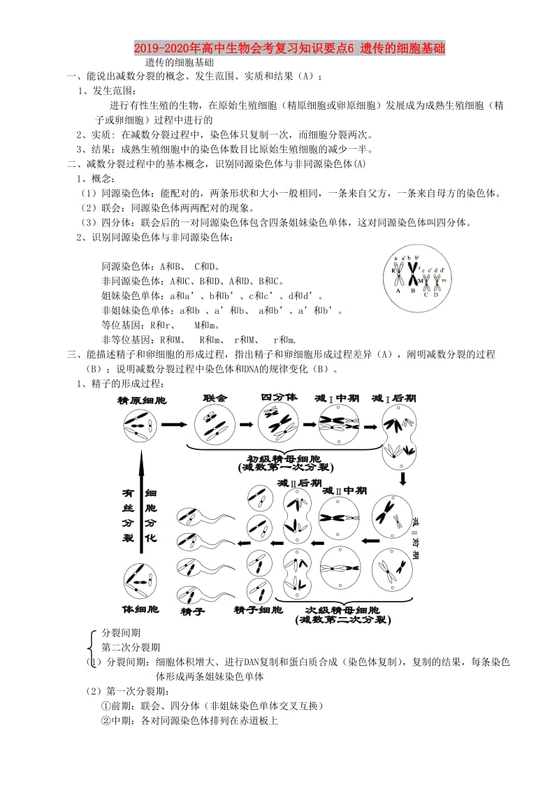 2019-2020年高中生物会考复习知识要点6 遗传的细胞基础.doc_第1页