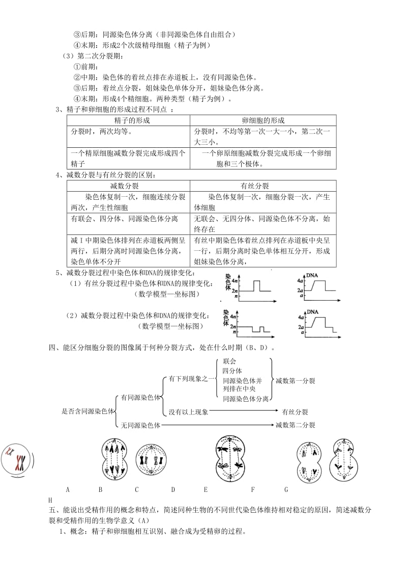 2019-2020年高中生物会考复习知识要点6 遗传的细胞基础.doc_第2页