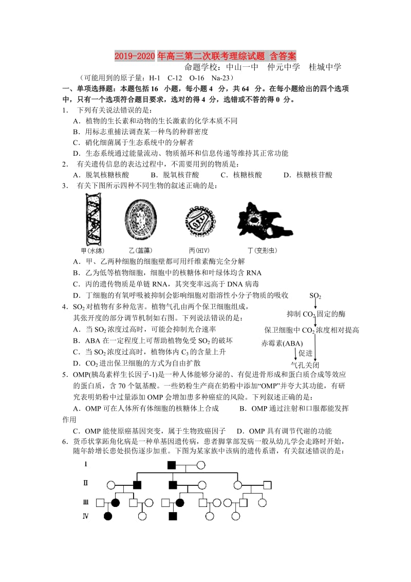 2019-2020年高三第二次联考理综试题 含答案.doc_第1页