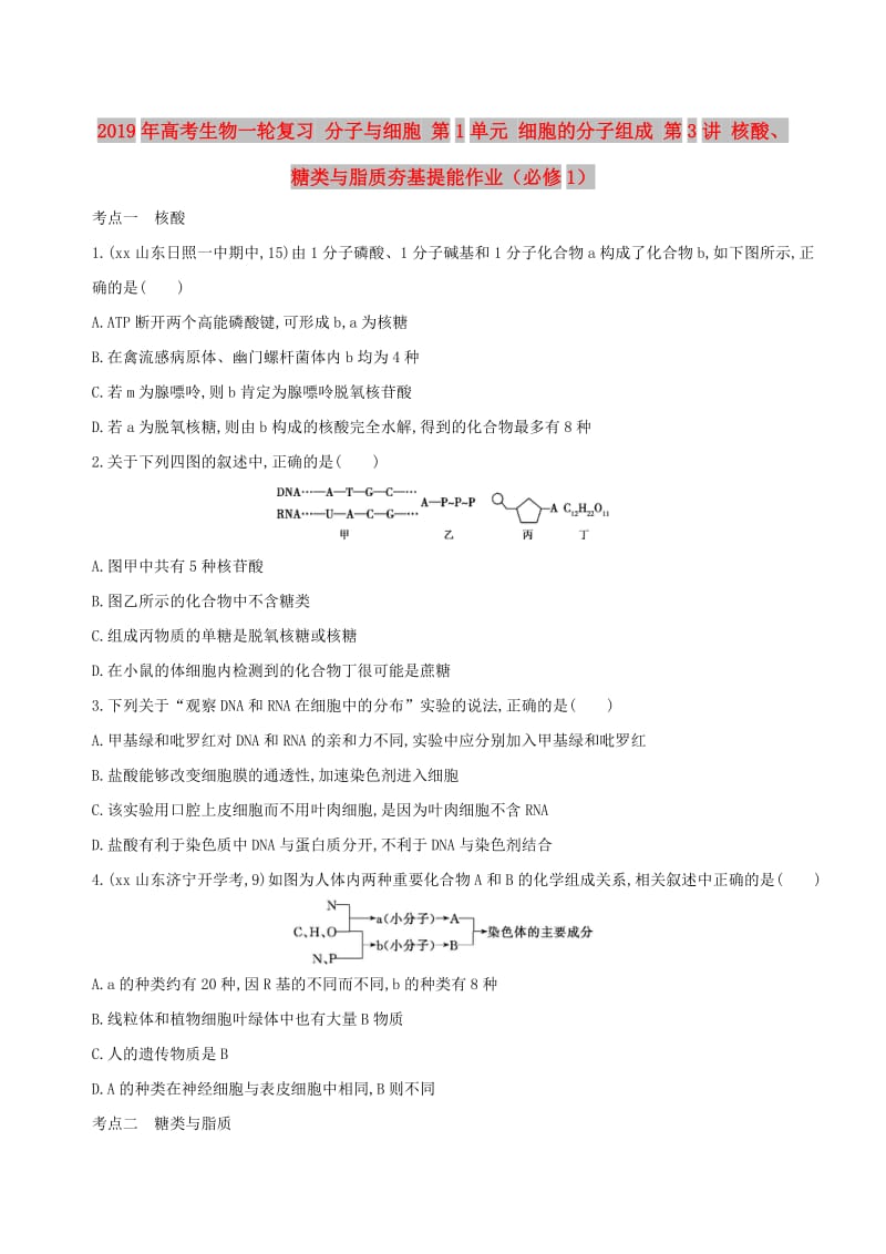 2019年高考生物一轮复习 分子与细胞 第1单元 细胞的分子组成 第3讲 核酸、糖类与脂质夯基提能作业（必修1）.doc_第1页