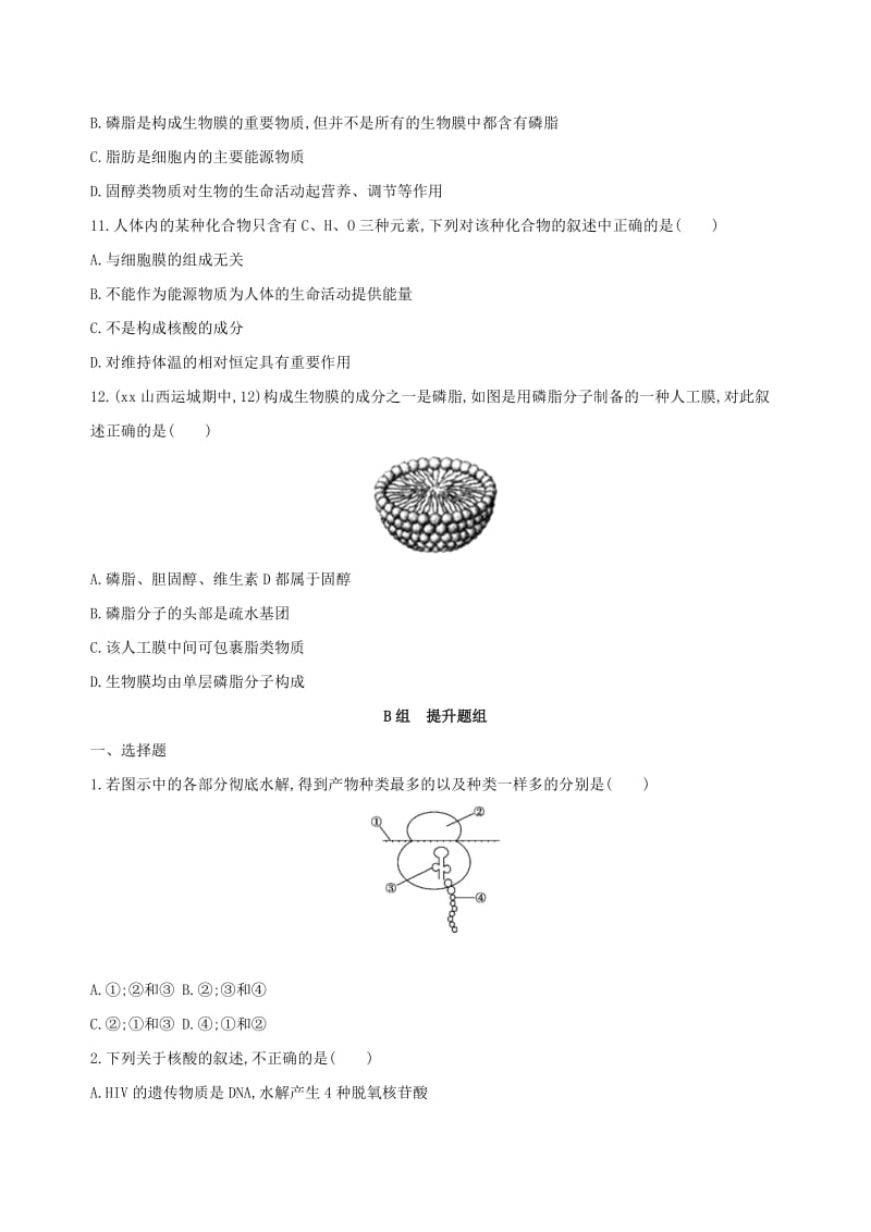 2019年高考生物一轮复习 分子与细胞 第1单元 细胞的分子组成 第3讲 核酸、糖类与脂质夯基提能作业（必修1）.doc_第3页