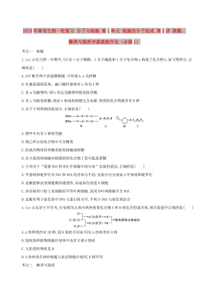 2019年高考生物一輪復(fù)習 分子與細胞 第1單元 細胞的分子組成 第3講 核酸、糖類與脂質(zhì)夯基提能作業(yè)（必修1）.doc