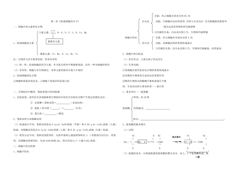 2019-2020年高中生物 前三章复习提纲 新人教版必修1.doc_第2页