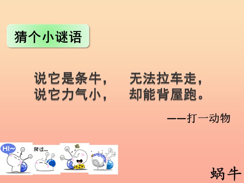 2019年六年级语文上册《蜗牛慢条斯理的生活》课件1 语文A版.ppt_第1页