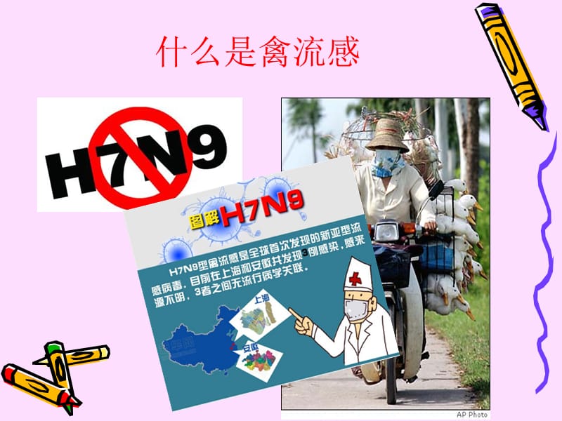 幼儿园小班预防禽流感方案.ppt_第2页