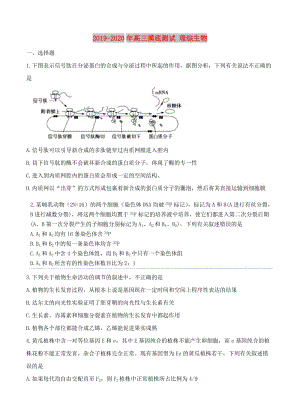 2019-2020年高三摸底測試 理綜生物.doc