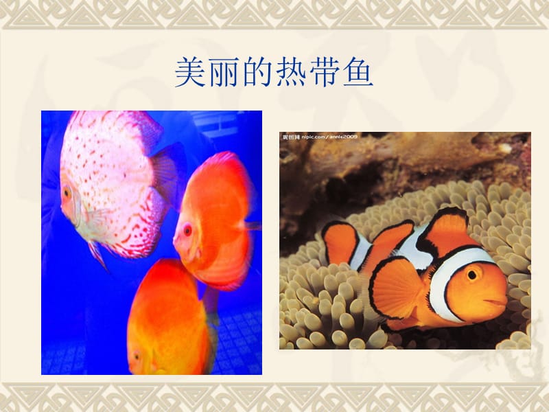 幼儿园大班绘画《奇妙的海底世界》.ppt_第3页