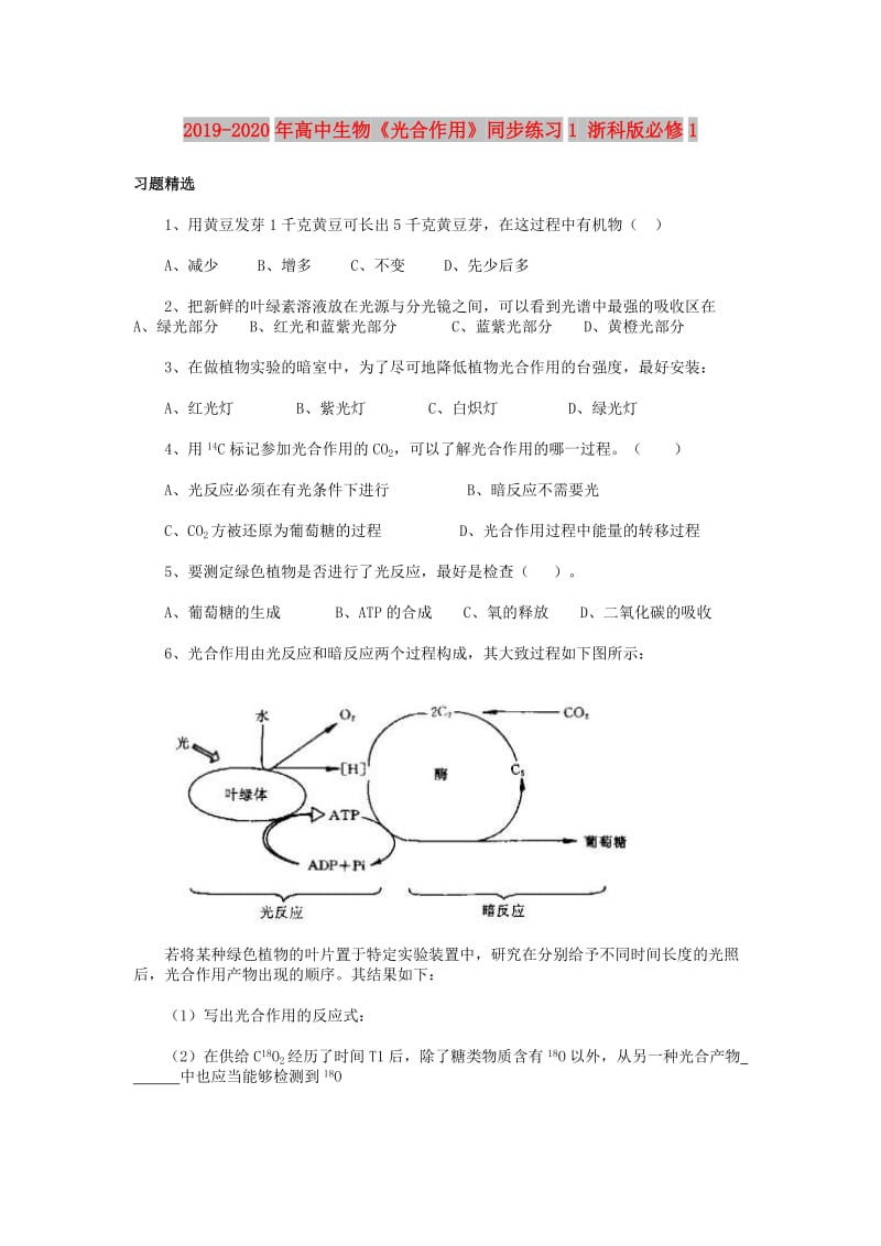 2019-2020年高中生物《光合作用》同步练习1 浙科版必修1.doc_第1页