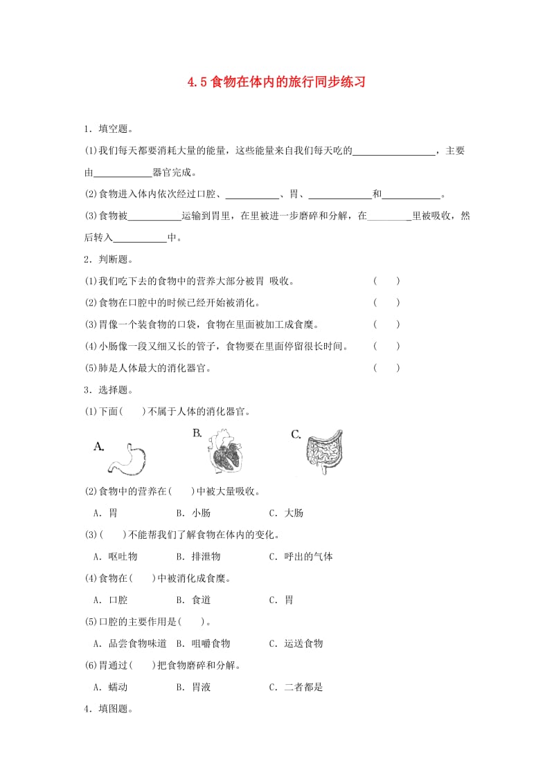 四年级科学上册 4.5食物在体内的旅行练习 教科版.doc_第1页