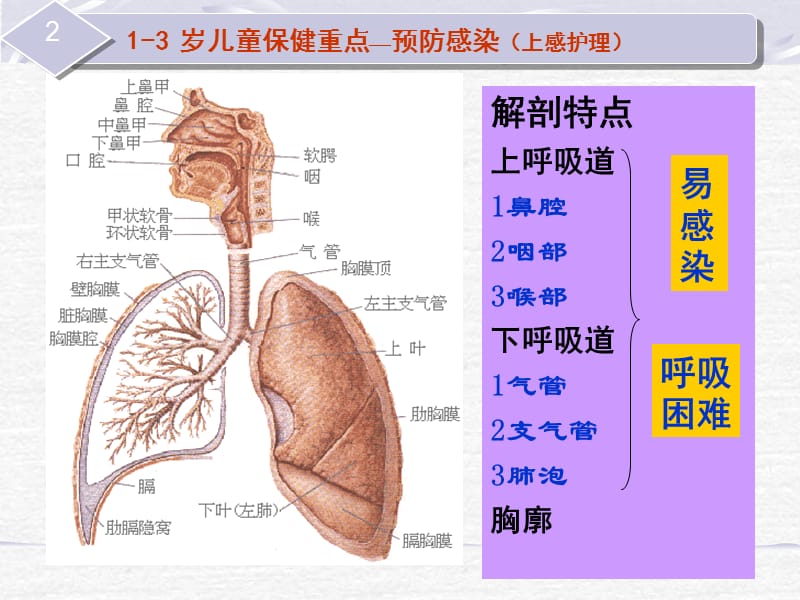 小儿常见疾病护理.ppt_第3页