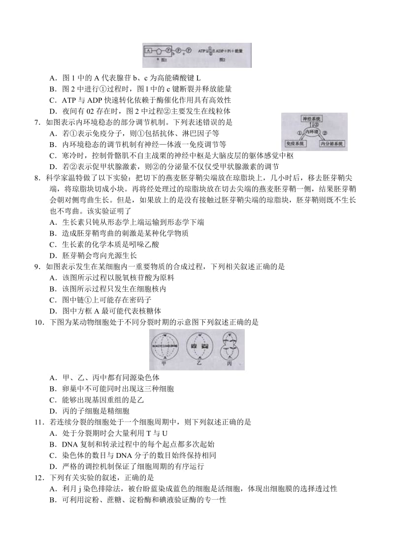 2019-2020年高三第一次诊断考试 生物.doc_第2页