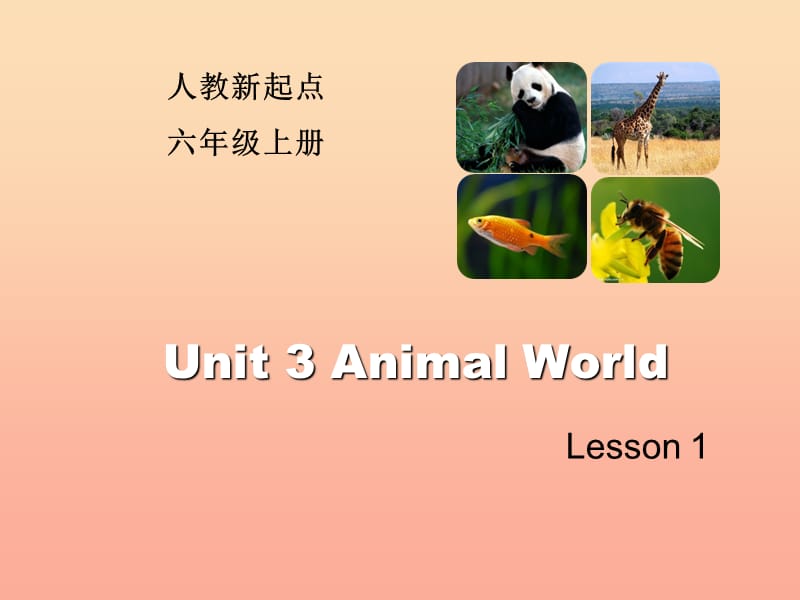 2019六年级英语上册 Unit 3 Animal World（Lesson 1）课件 人教新起点.ppt_第1页