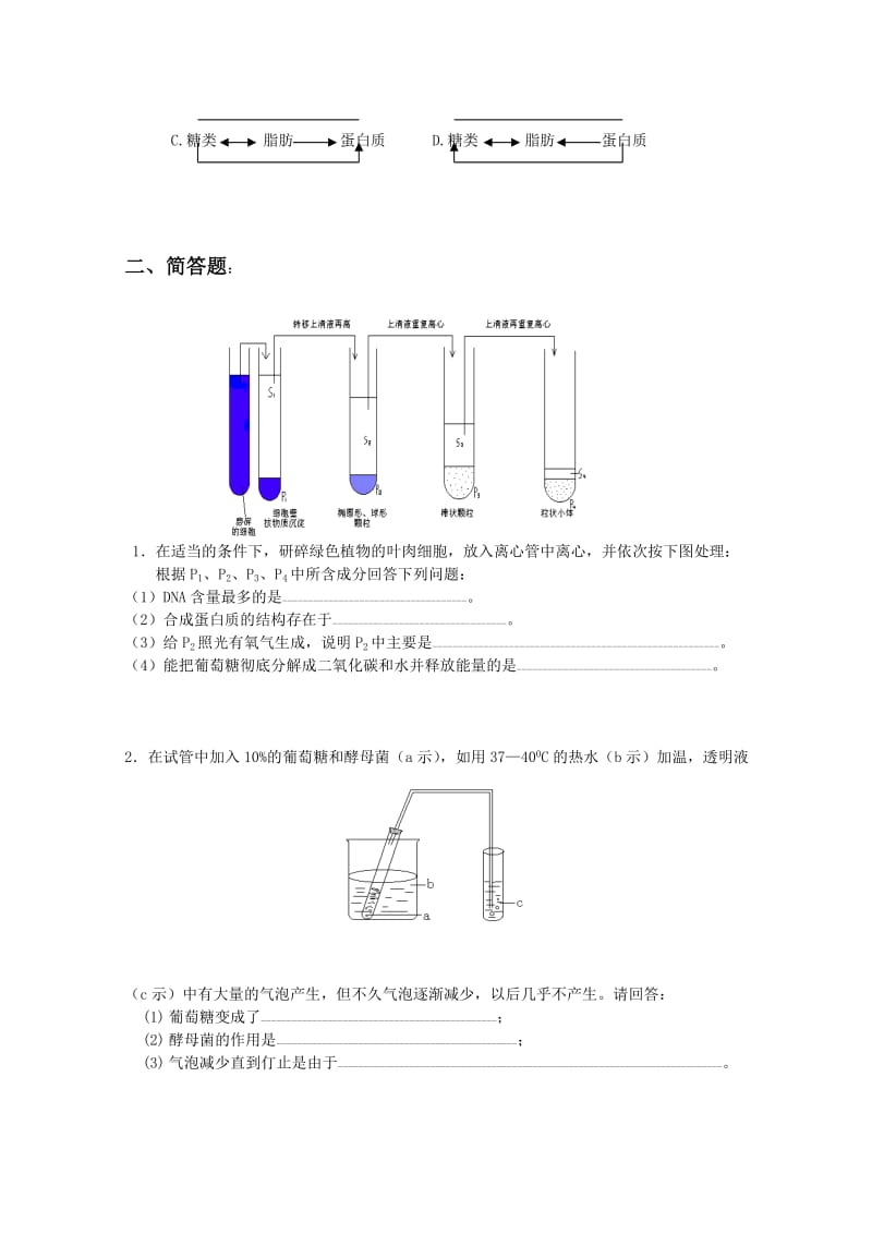 2019-2020年高三生物一轮复习教案（25） 新陈代谢习题练习 新人教版.doc_第3页