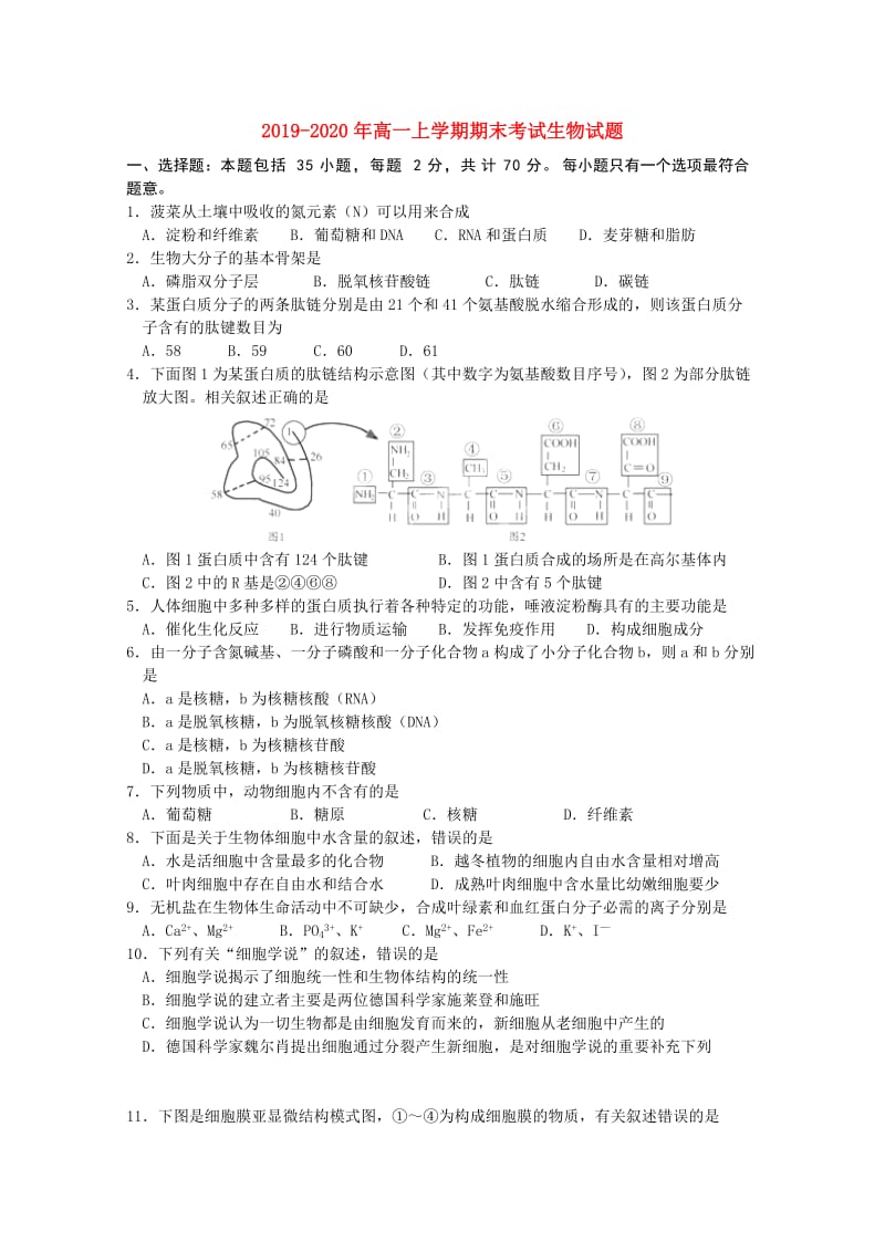 2019-2020年高一上学期期末考试生物试题.doc_第1页