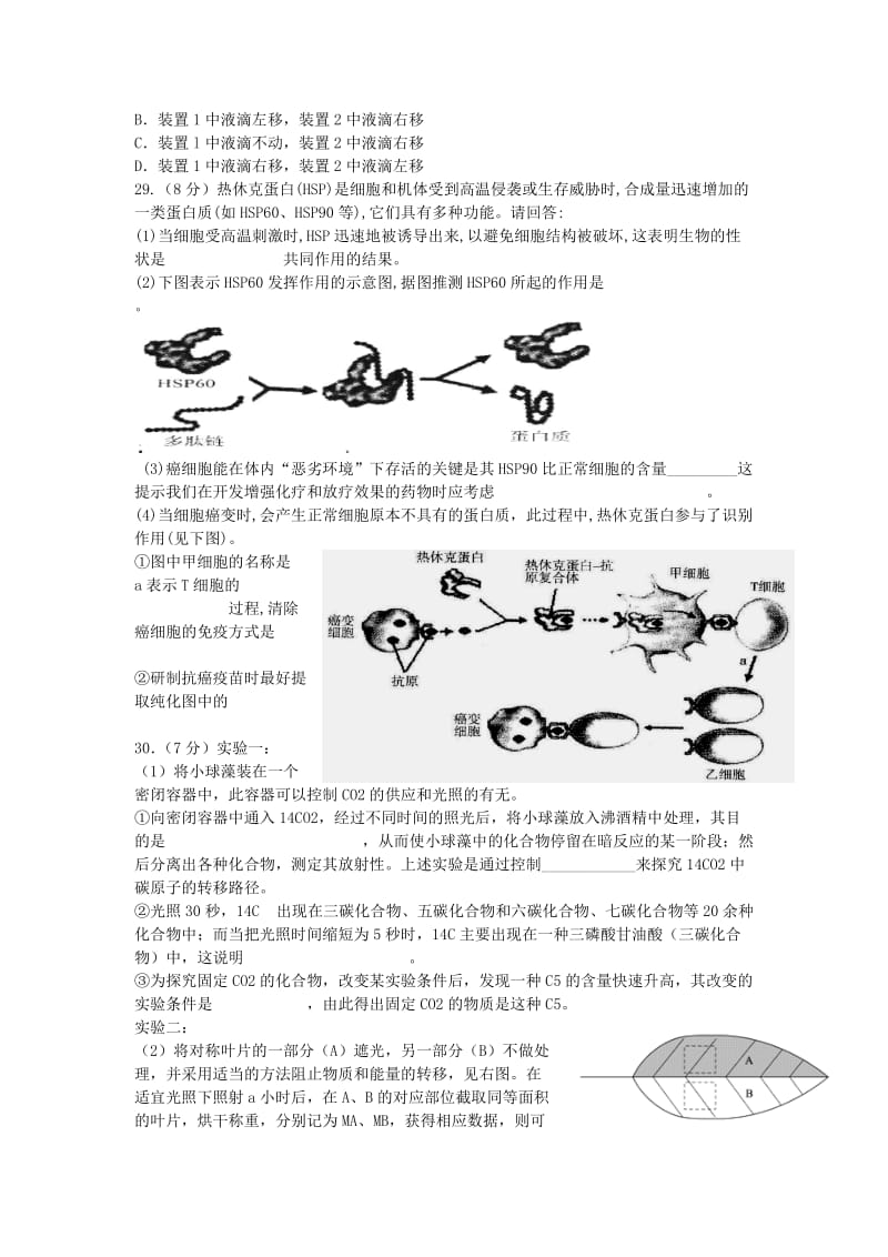 2019-2020年高中生物 限时训练6 新人教版.doc_第2页