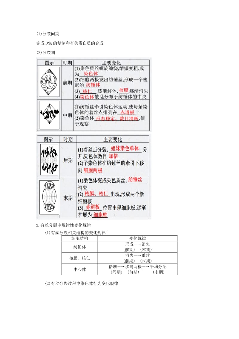 2019-2020年高考生物复习 专题04 细胞的生命历程 细胞的增殖知识点.doc_第2页