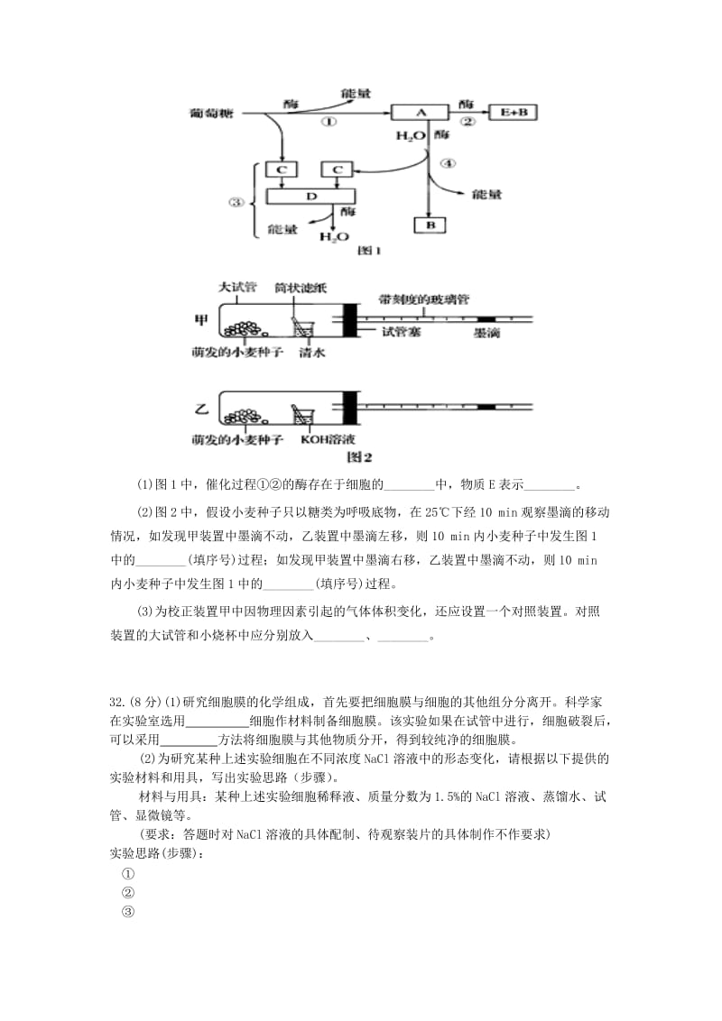 2019-2020年高中生物 限时训练2 新人教版.doc_第3页