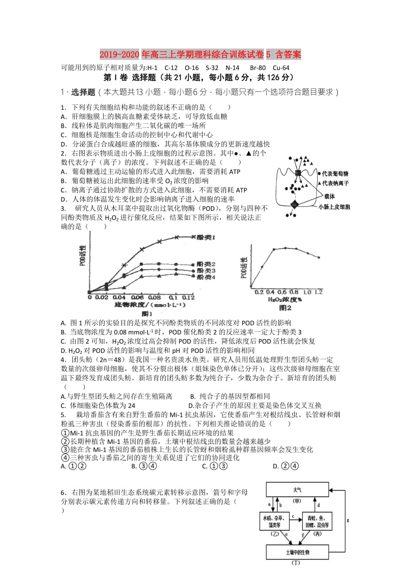 2019-2020年高三上学期理科综合训练试卷5 含答案.doc_第1页