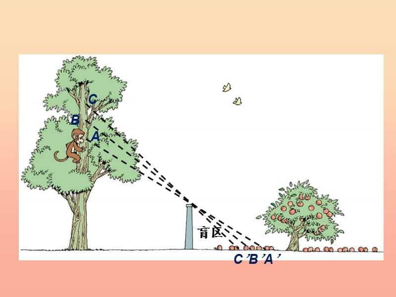 2019-2020六年级数学上册 3.2 观察的范围课件 （新版）北师大版.ppt_第3页