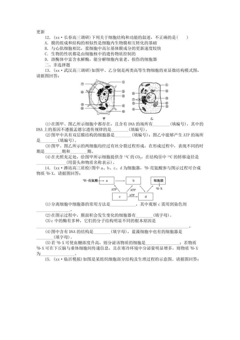 2019-2020年高三生物一轮复习 第二单元 第2讲 细胞器与生物膜系统课下限时集训 新人教版必修1.doc_第3页